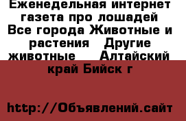 Еженедельная интернет - газета про лошадей - Все города Животные и растения » Другие животные   . Алтайский край,Бийск г.